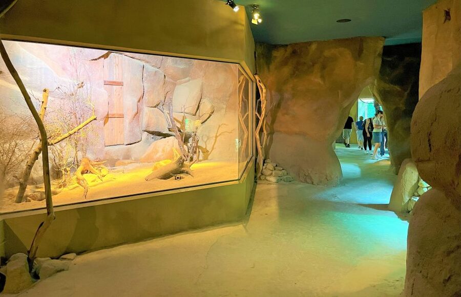 Prague: Prague Zoo Audio Guide with E-Ticket - Why Prague Zoo deserves a full day
