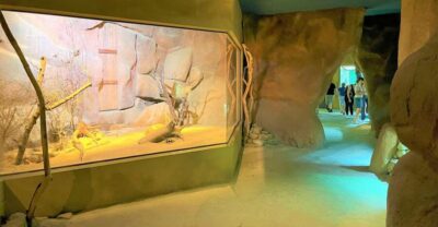 Prague Zoo Audio Guide with E-Ticket