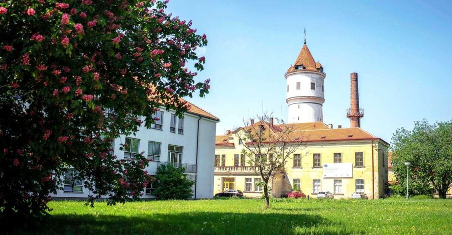 Prague: Psychiatric Hospital and Abandoned Cemetery Tour - Key points to know before you go