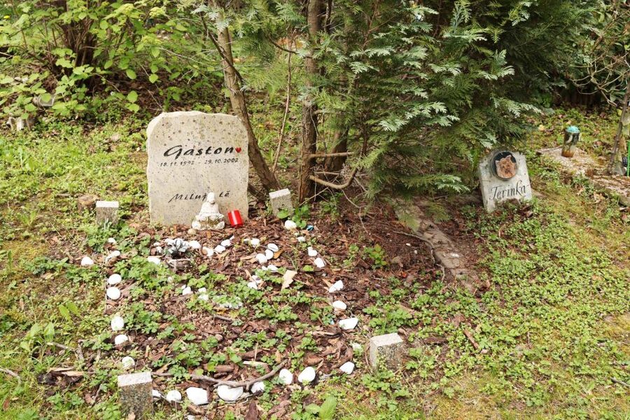 Prague: Psychiatric Hospital and Abandoned Cemetery Tour - Practical planning for your Prague itinerary