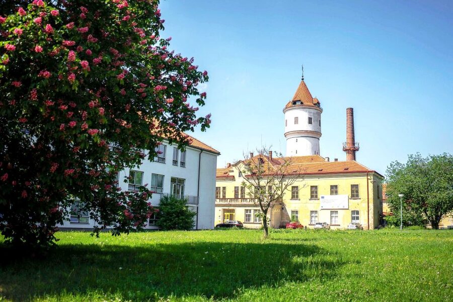 Prague: Psychiatric Hospital and Abandoned Cemetery Tour - Two and a half hours inside an active institution