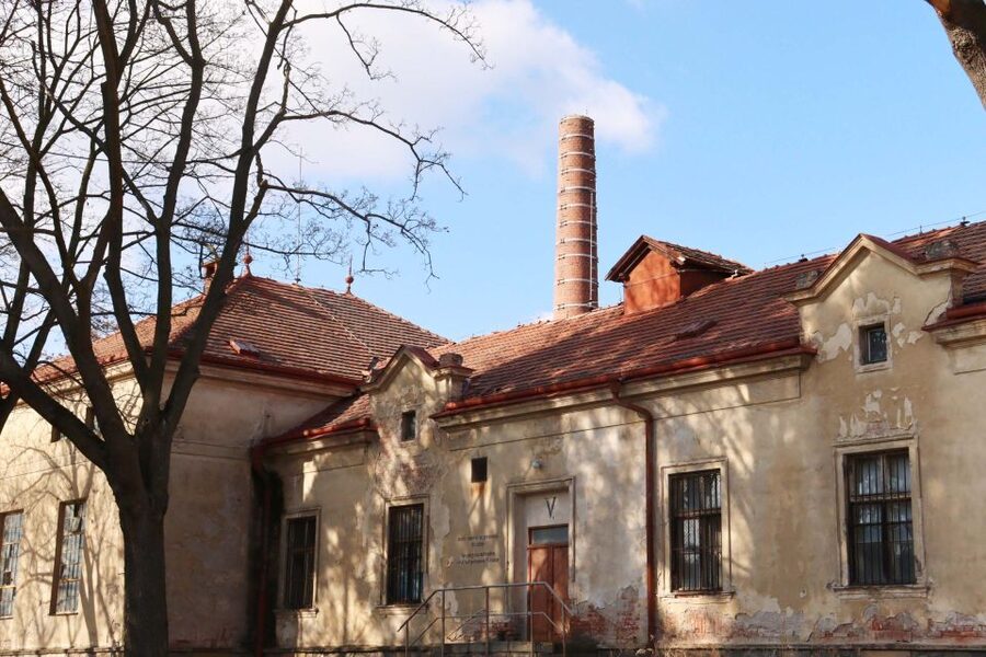 Prague: Psychiatric Hospital and Abandoned Cemetery Tour - Who should book this walk?