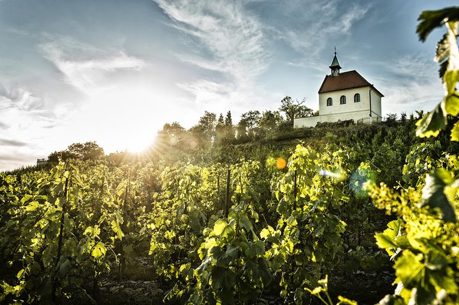 Prague´s Hidden Vineyards Private Tour - Local wines and cheese finish the tour