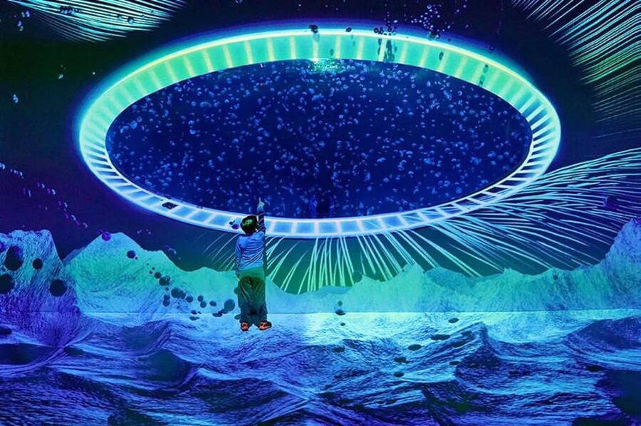 Prague: The World Of Jellyfish Entry Ticket w/ Drink - The First Look at the Spherical Aquarium