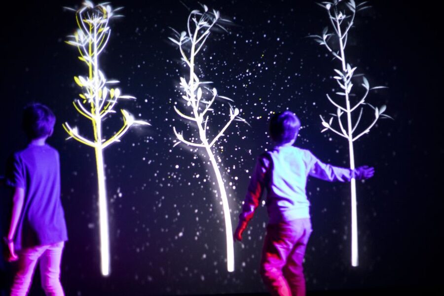 Prague: Ticket to Audiovisual Light Art at Lumia Gallery - Practical details that affect your visit