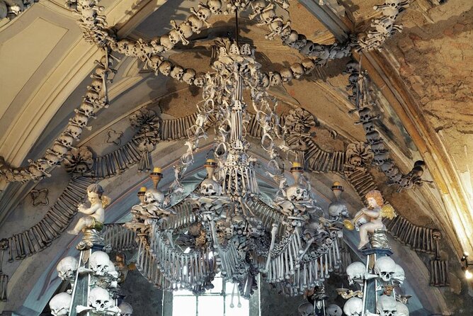 Prague-Vienna One-Way Sightseeing Day Tour - Five Things to Know Before You Book