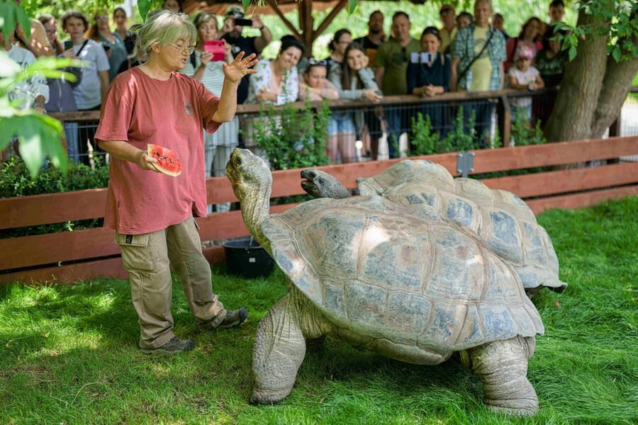 Prague Zoo: Skip-the-Line Entry Ticket - Why Prague Zoo Deserves a Day