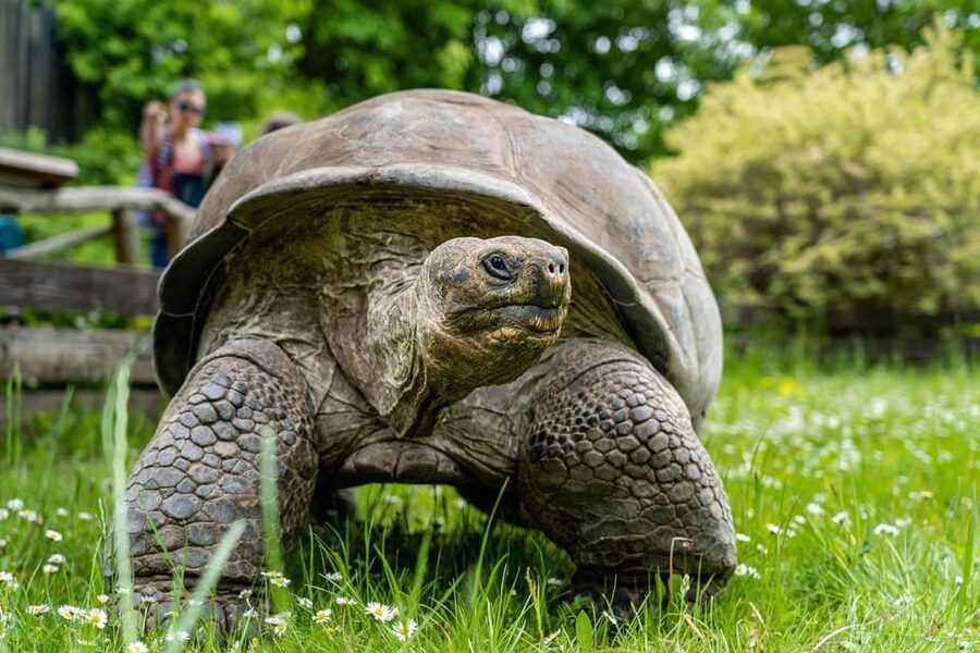 Prague Zoo: Skip-the-Line Entry Ticket - Food, Toilets, and Places to Rest