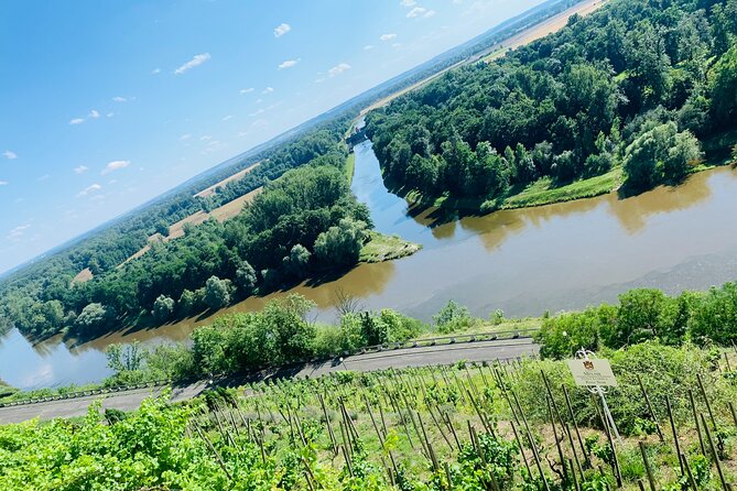Private Bohemia Wine Tour from Prague with Gourmet Tastings - Mělník château and the meeting of two rivers