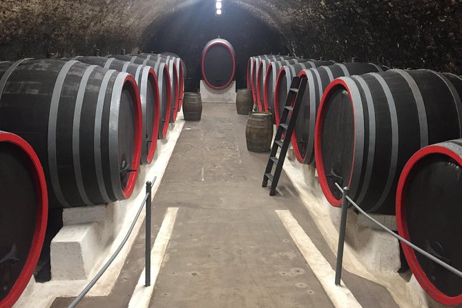 Private Bohemia Wine Tour from Prague with Gourmet Tastings - Třebívlice and a newer face of Bohemian wine