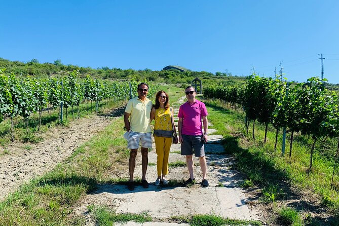 Private Bohemia Wine Tour from Prague with Gourmet Tastings - Žalhostice and wine from volcanic slopes