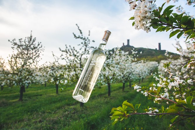 Private PICNIC in Bohemian Vineyards and Wine Tasting 4WD Tour - Key details before you book