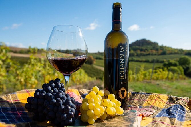 Private PICNIC in Bohemian Vineyards and Wine Tasting 4WD Tour - A guide-led look at the Bohemian countryside