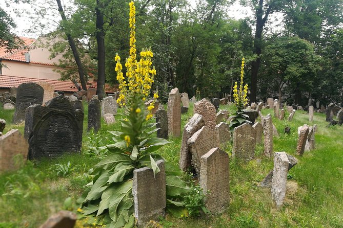 Private Stories of Jewish Prague Walking Tour - Pinkas Synagogue and the names of the Shoah victims