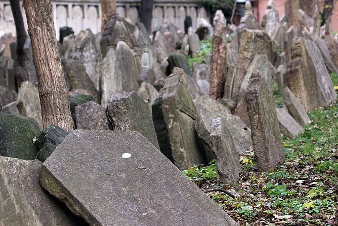 Scary Prague Walking Tour - Group size, pace, and family fit