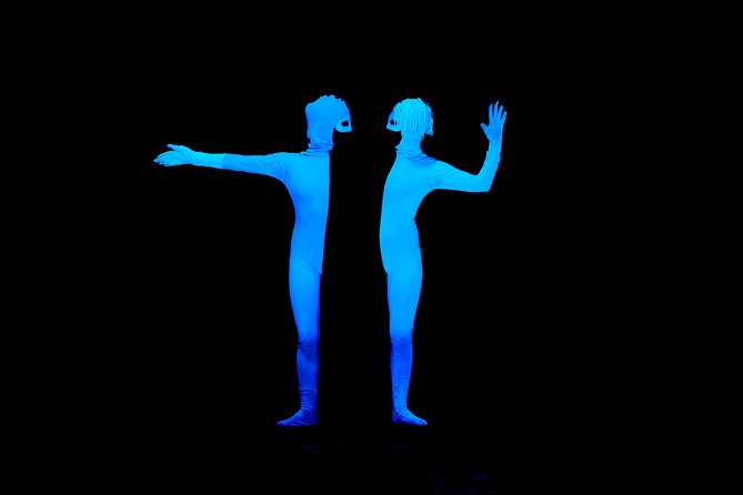 Skip the Line: WOW Show Black Light Theater in Prague Ticket - Entering the theater and finding your seat