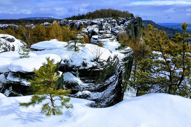 Terezin & Bohemian Switzerland from Prague: Bastei, Narnia & Café - What the guide adds to the experience
