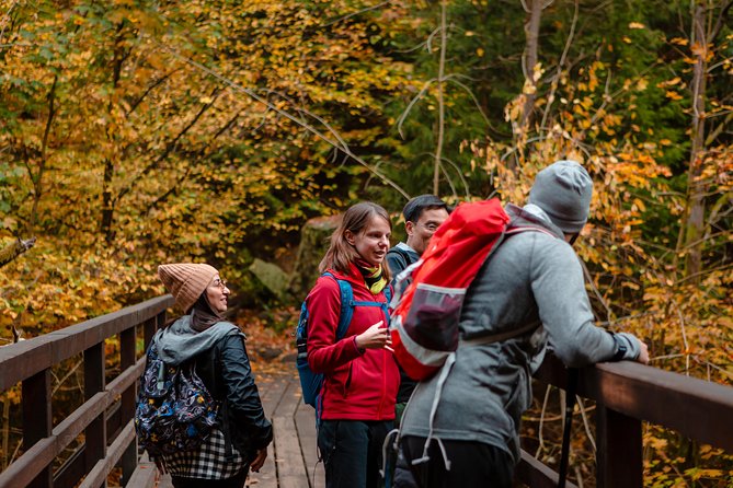 VIP Best Reviews: Bohemian & Saxon Switzerland from Prague - Pravčická Gate is the stronger choice for serious walking