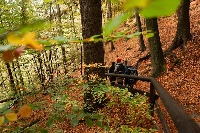 VIP Best Reviews: Bohemian & Saxon Switzerland from Prague - Shared or private tour: which one makes sense?