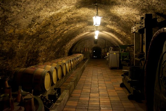 Wine Tasting Day Trip from Prague to Melnik - Key points to know before booking